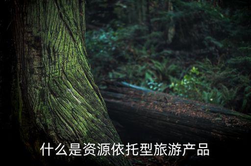 什么是资源依托型旅游产品