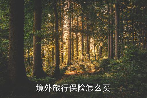 购买国际旅行保险，境外旅行保险怎么买
