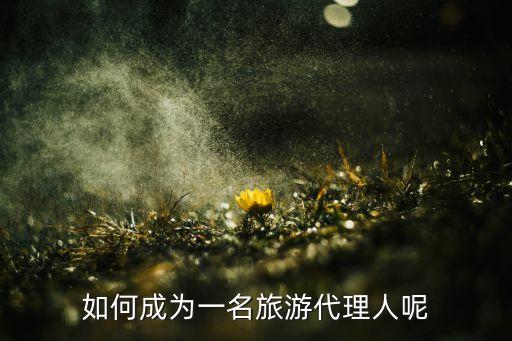 如何成为一名旅游代理人呢