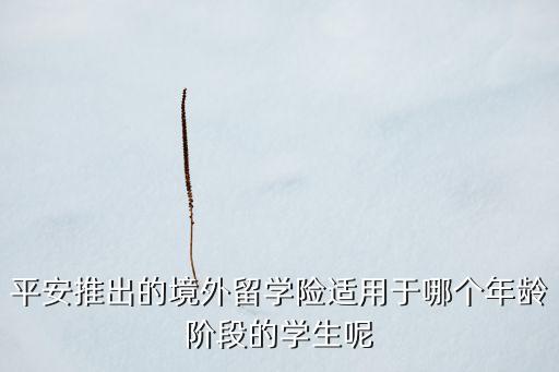 平安推出的境外留学险适用于哪个年龄阶段的学生呢