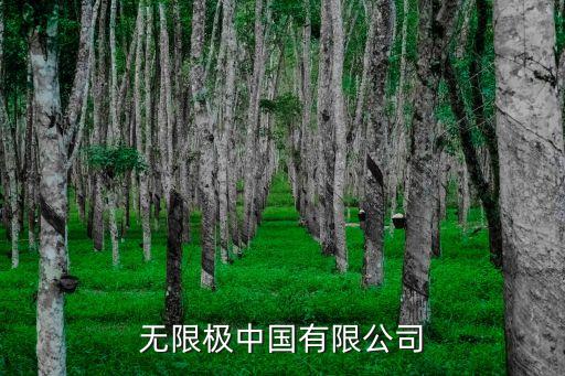 无限极中国有限公司