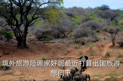 境外旅游险哪家好呢最近打算出国旅游想问下