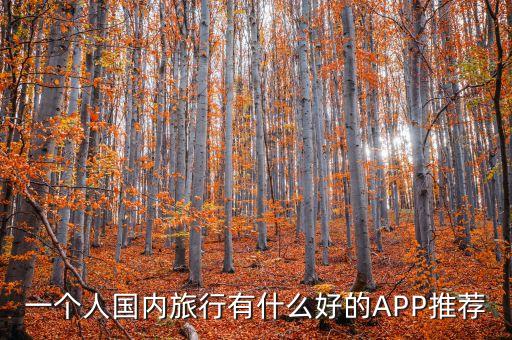 国内自由行最好的app，一个人国内旅行有什么好的APP推荐