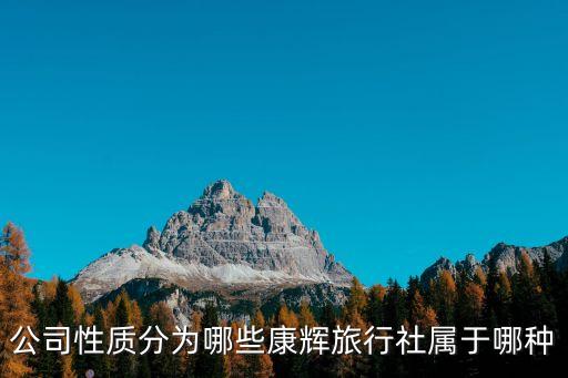 公司性质分为哪些康辉旅行社属于哪种