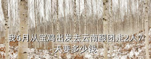 我6月从宝鸡出发去云南跟团走2人7天要多少钱