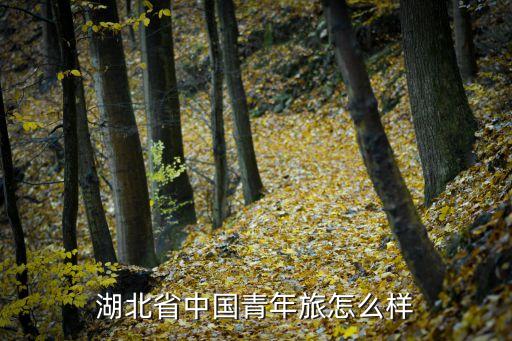 湖北中青国际旅游有限公司，中青旅缩写是CYTS中国青旅是YTS这两者不是同样一件公司吗