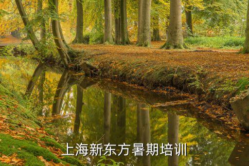 上海新东方暑期培训