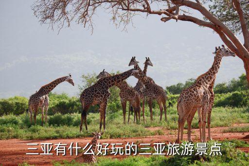 三亚有什么好玩的三亚旅游景点