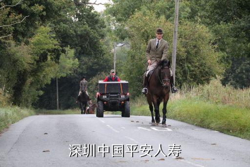中国平安保险咨询，深圳中国平安人寿