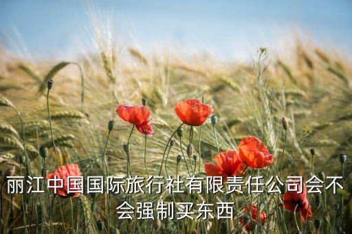 中国旅行社责任有限公司，陕西中国旅行社有限责任公司陕西中旅是国企吗 待遇怎么样啊  搜