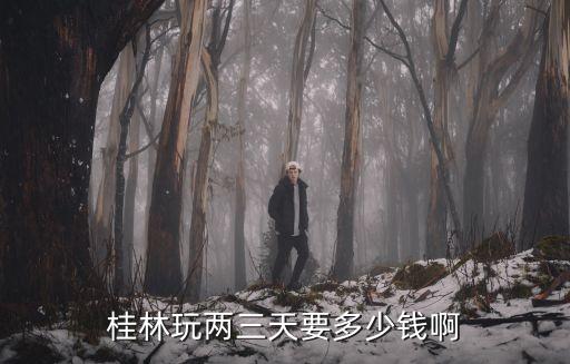 桂林玩两三天要多少钱啊