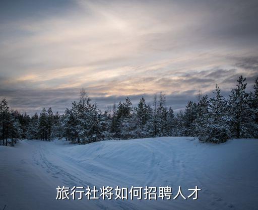 旅行社将如何招聘人才