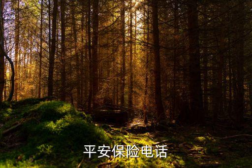 平安保险电话