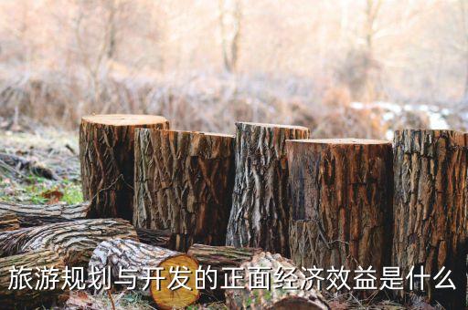 旅游规划与开发的正面经济效益是什么