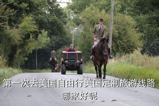 第一次去美国自由行美国定制旅游线路哪家好呢