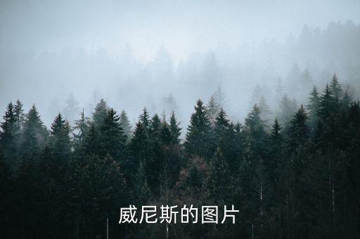 国际旅游岛图片，白鹭岛风景照片