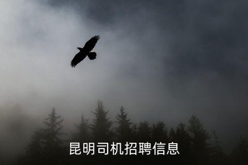 昆明招聘网最新招聘，昆明的招聘网站哪个最好