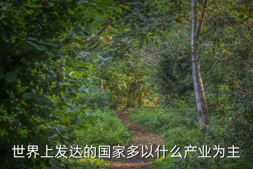 世界上发达的国家多以什么产业为主