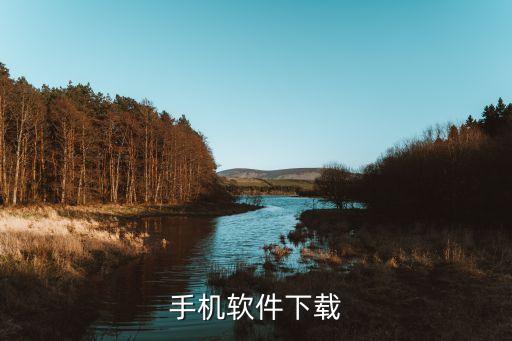 手机软件下载