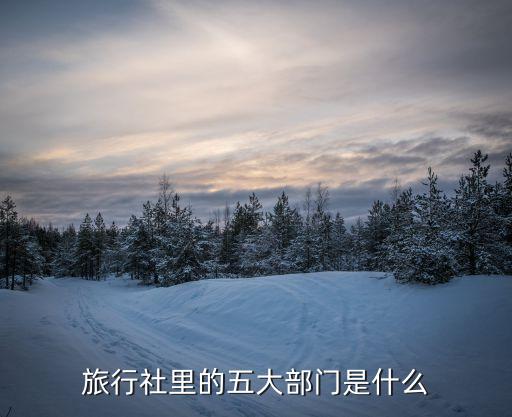 旅行社里的五大部门是什么
