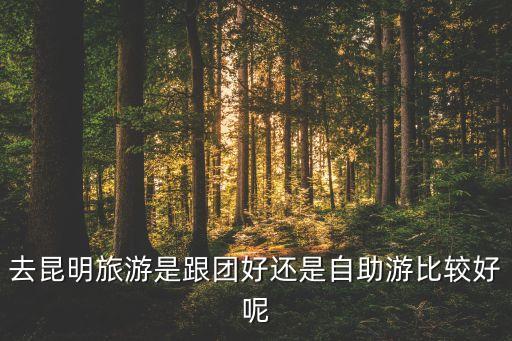 去昆明旅游是跟团好还是自助游比较好呢