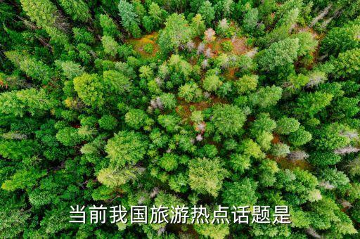 当前我国旅游热点话题是