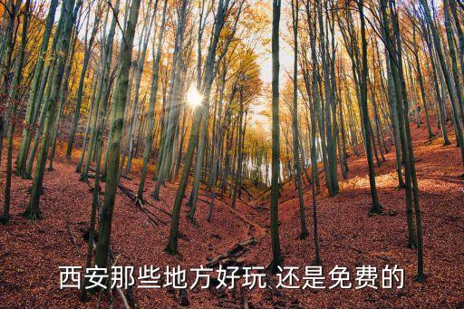 西安好玩又免费的景点，西安那些地方好玩 还是免费的