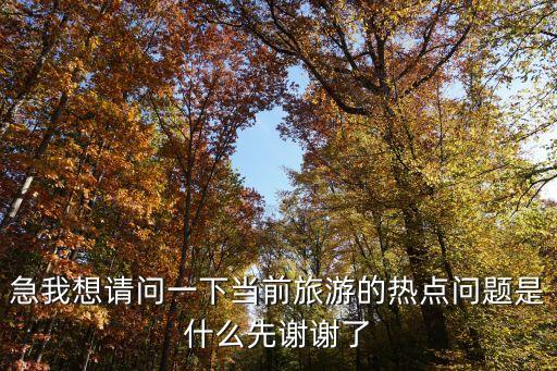 急我想请问一下当前旅游的热点问题是什么先谢谢了