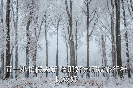 五一小长假去新 疆那好完哪家旅行社比较好