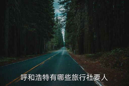 呼和浩特有哪些旅行社要人