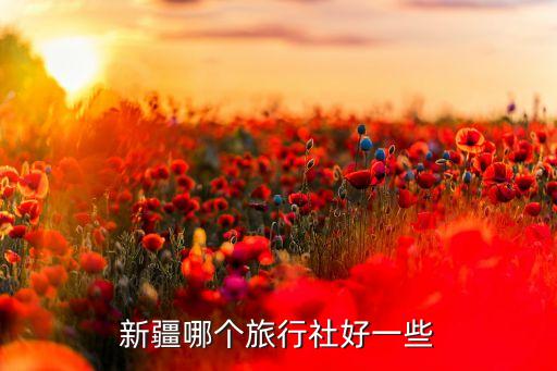 新疆国旅，新疆哪个旅行社好一些