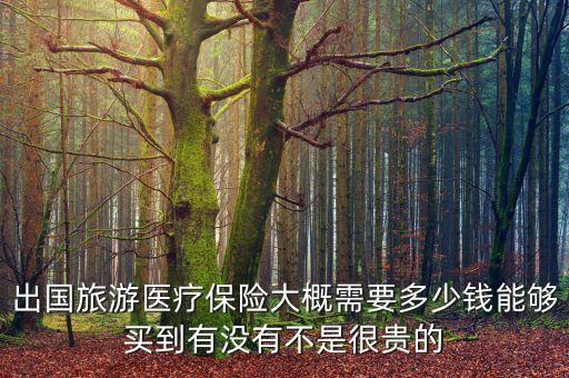 出国旅游医疗保险大概需要多少钱能够买到有没有不是很贵的