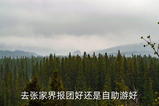 去张家界报团好还是自助游好
