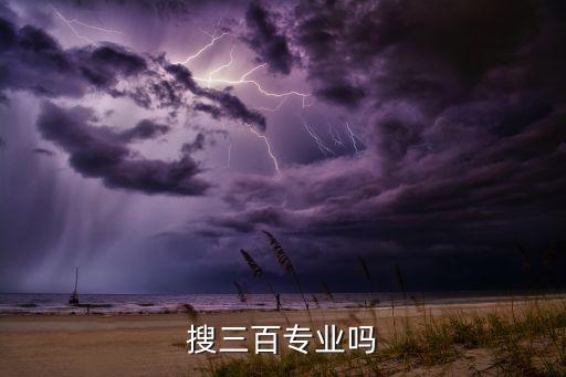 智慧养老服务云平台招标结果公示，搜三百专业吗