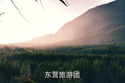 东营旅游团