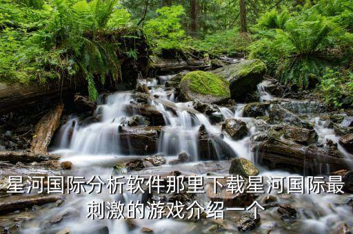 国际健康码app下载，星河国际分析软件那里下载星河国际最刺激的游戏介绍一个