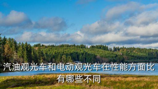 游览车和观光车区别，请问香港人力车观光巴士和Big Bus Tours有什么区别