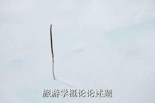 旅游学概论论述题