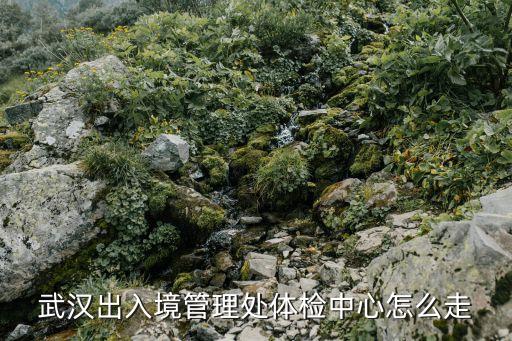 武汉珞狮南路体检中心，武汉出入境管理处体检中心怎么走