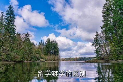 留学游学的区别
