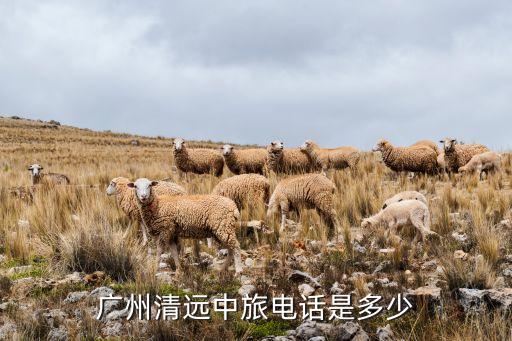 广州清远中旅电话是多少