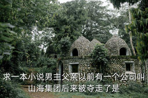山海集团福慧国旅怎样，求一本小说男主父亲以前有一个公司叫山海集团后来被夺走了是