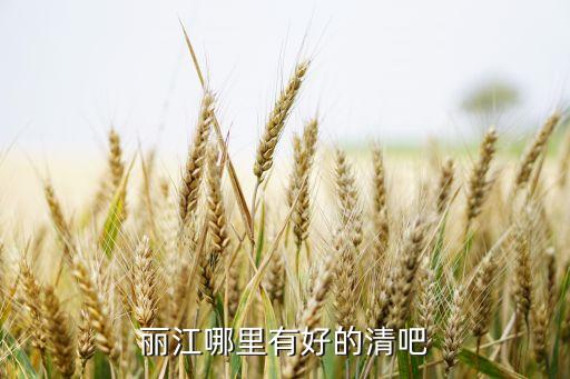 丽江哪里有好的清吧