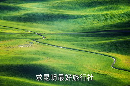 求昆明最好旅行社