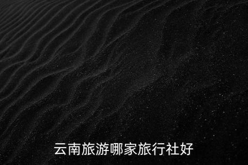昆明飞游国际旅行社怎么样，云南旅游哪家旅行社好