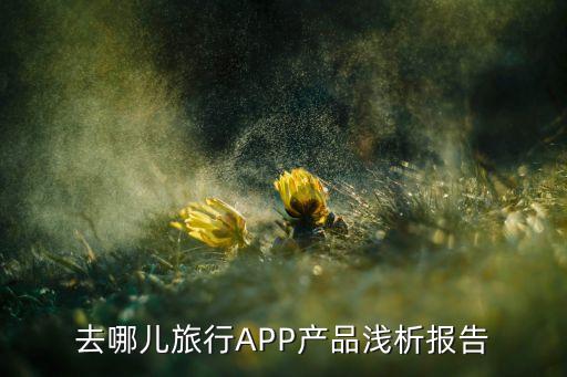 旅游app产品介绍模板，旅游产品介绍
