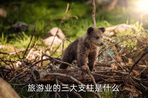 旅游业的三大支柱是什么