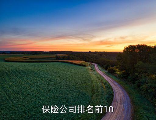 保险公司排名前10