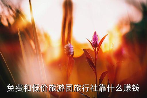免费旅游团，身高不足1米2旅客四川旅行社哪个旅行社不收费