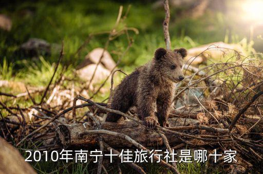 2010年南宁十佳旅行社是哪十家